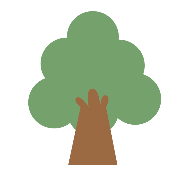 木の陽（樹木）